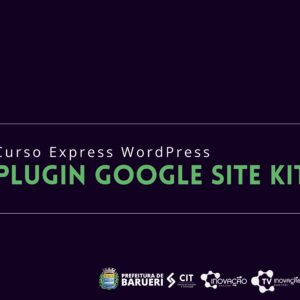 Curso Express WordPress - Plugin Google site kit